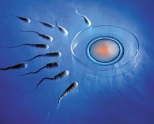 精子碎片化率高？第三代试管技术为你护航