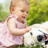 2026试管冻囊胚预产期计算方法汇总，附移植产期计算表