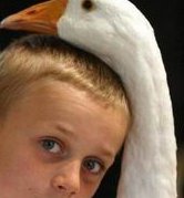 鲜胚养囊胚成功率低，究竟失败的原因在哪儿？