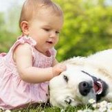 先兆流产血液的颜色不同保胎方法不一样？要保多久？