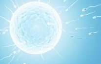 2026年选择马来西亚做试管婴儿的理由：医生解读成功案例