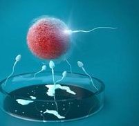 高龄试管，何时开始都不晚？成功率与年龄关系详解！