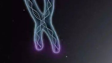 2026年想去茫崖市做试管婴儿需要准备哪些事？详细收费明细一览