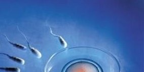 引产后一年不来月经了怎么办？