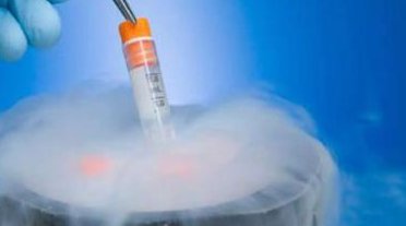 移植4cc冻囊胚生下的孩子正常吗？