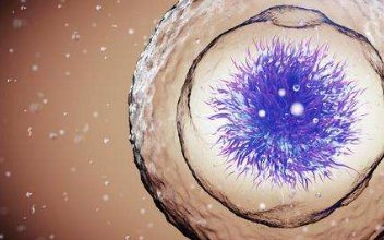 高龄求子不是梦！44岁试管婴儿成功攻略