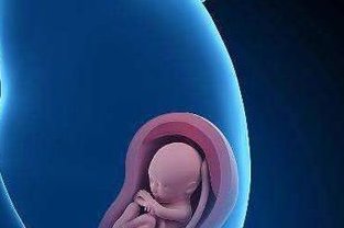 台湾做第三代试管婴儿的费用是多少钱？包含了哪些部分？