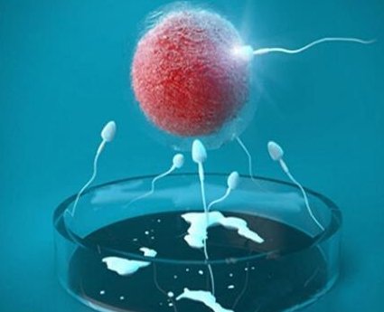 2026上海九院试管挂号是自费，多少钱、怎么挂这里全有