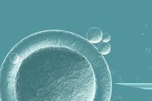 呼和浩特多家医院提供三代试管服务，费用视实际情况而定